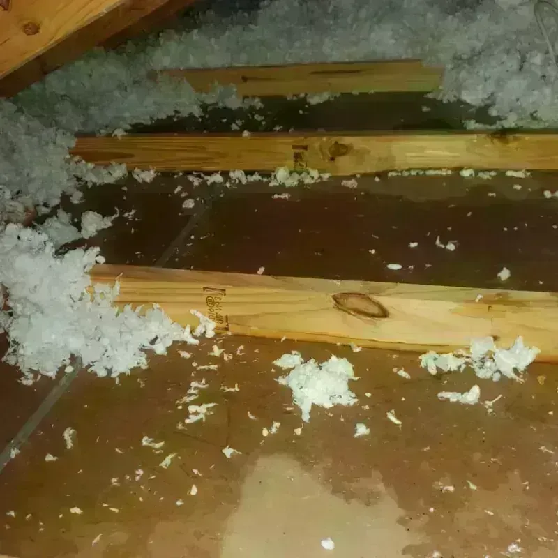 Attic Water Damage in Edmond, OK