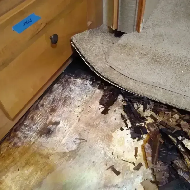 Wood Floor Water Damage in Edmond, OK